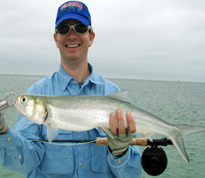 Key West Lady Fish