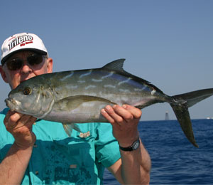 Key West Yellow Jack