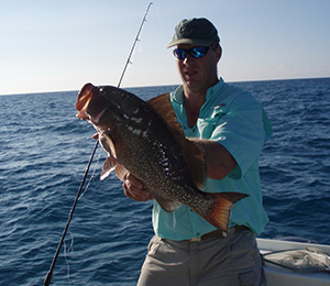 Key West Red Grouper