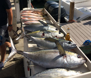 Key West Catch of the Week - October 27, 2014