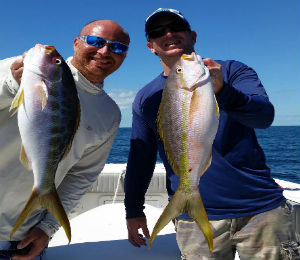 Key West Catch of the Week - November 3