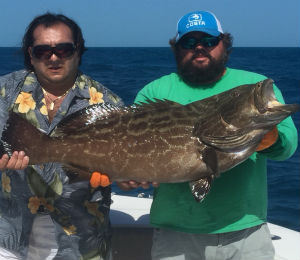 Key West Catch of the Week - November 14